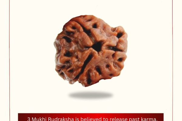 3-Mukhi-E